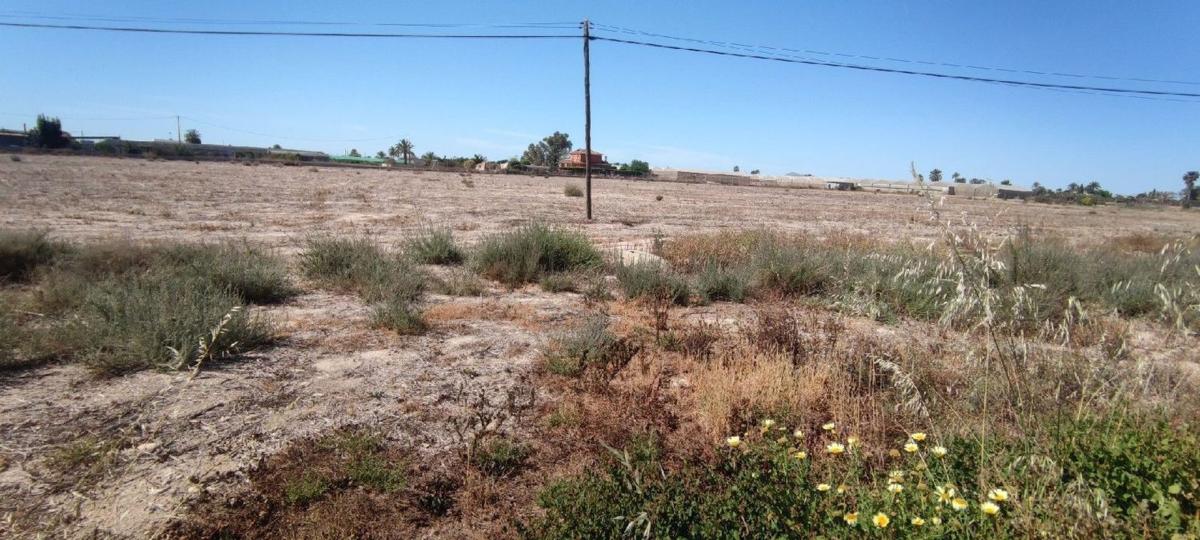 Land for sale in Elche / Elx, Alicante photo 1