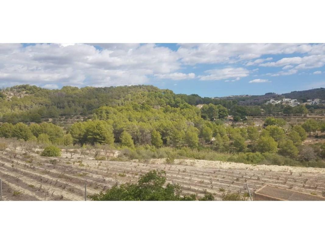 Land for sale in Calpe, Alicante photo 3