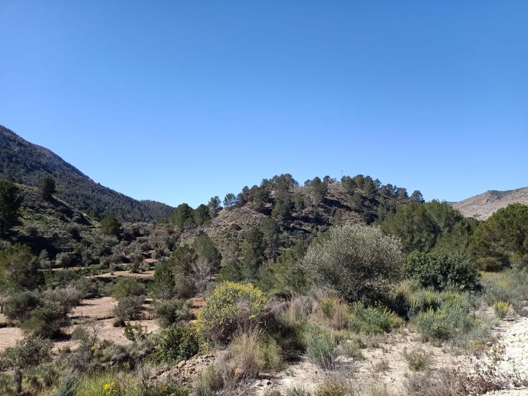 Terreno en venta en Finestrat, Alicante photo 2