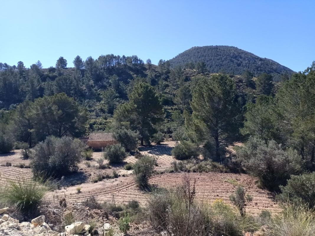 Terreno en venta en Finestrat, Alicante photo 3