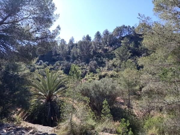 Terreno en Finestrat Pueblo, Finestrat photo 4