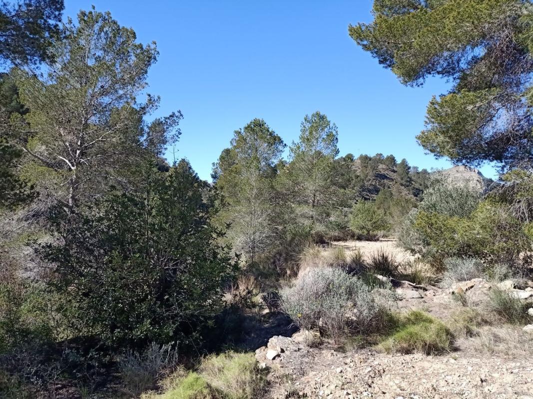 Terreno en venta en Finestrat, Alicante photo 5