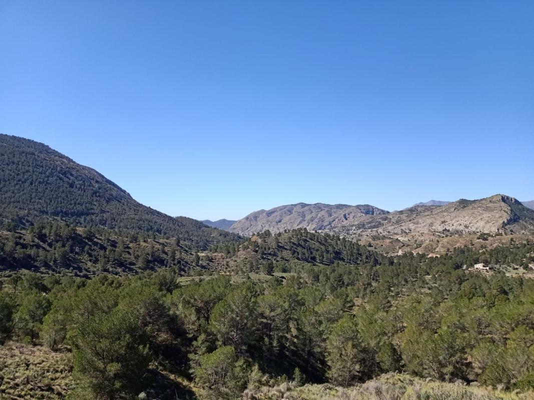 Land for sale in Finestrat, Alicante photo 2