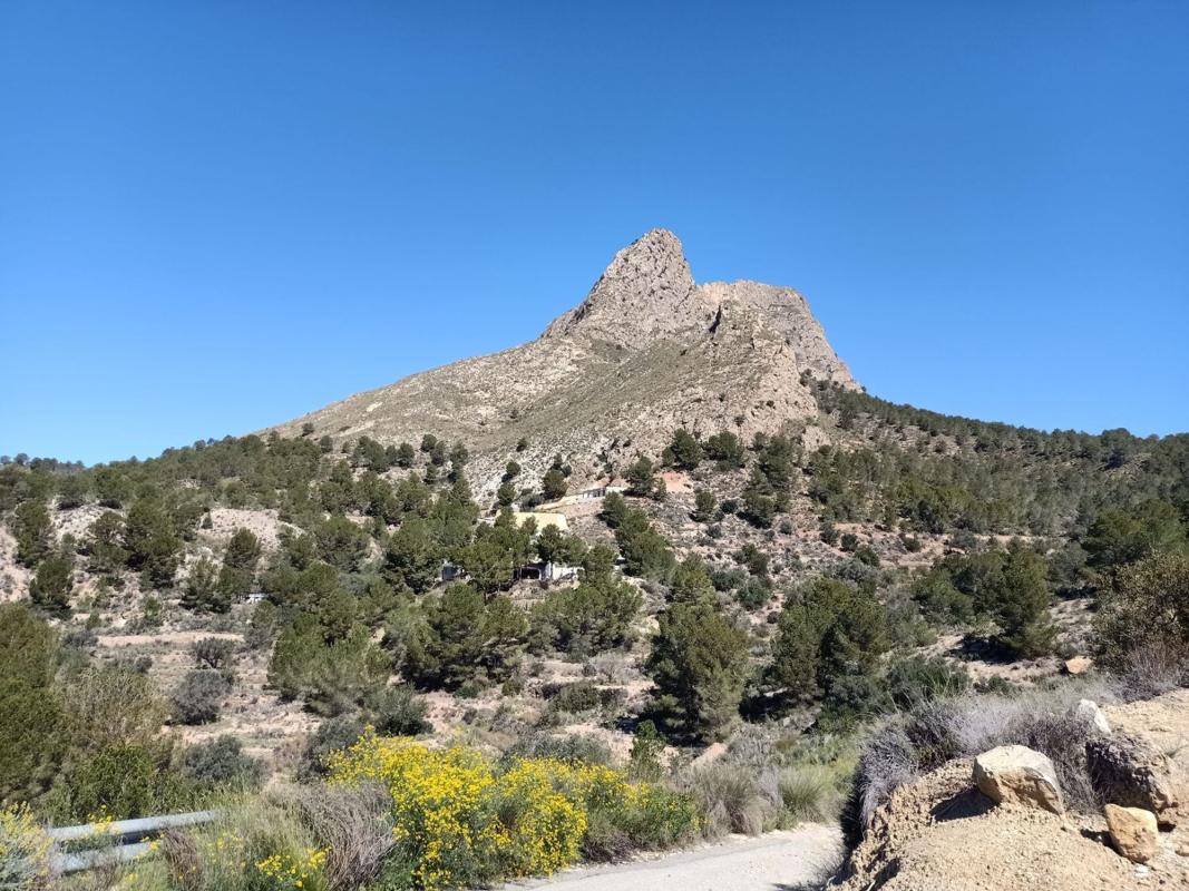Land for sale in Finestrat, Alicante photo 5