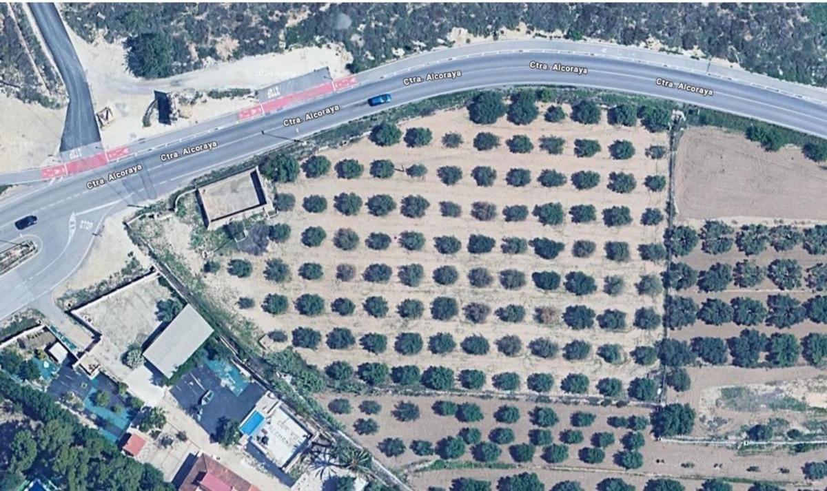 Land for sale in San Vicente del Raspeig, Alicante photo 5