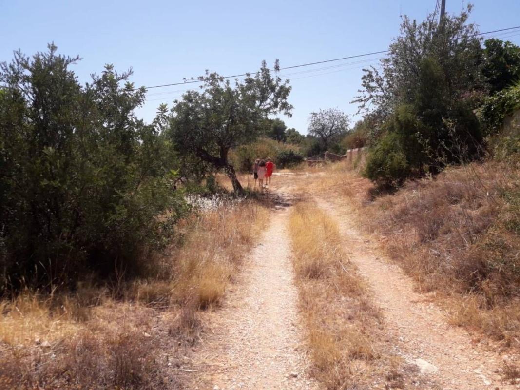 Land for sale in Calpe, Alicante photo 1