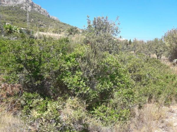 Terreno en Gargasindi, Calpe thumbnail 3