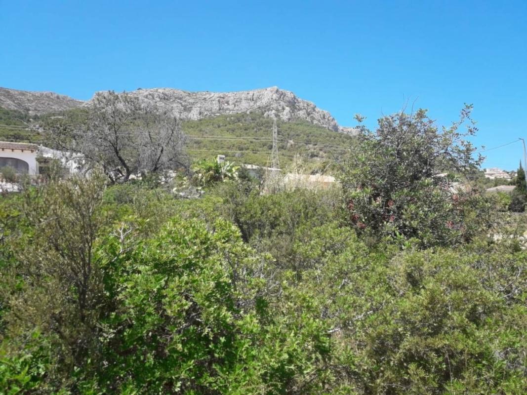 Land for sale in Calpe, Alicante photo 4