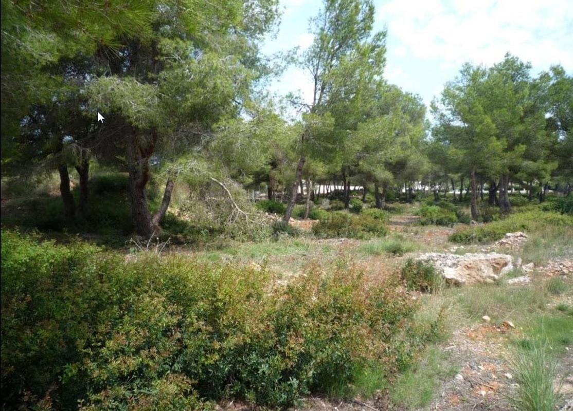 Terreno en venta en Jávea/Xàbia, Alicante photo 5