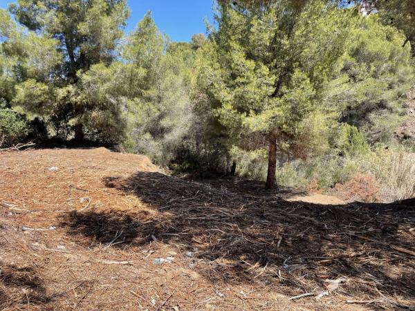 Terreno en Cala Advocat - Baladrar, Benissa photo 4