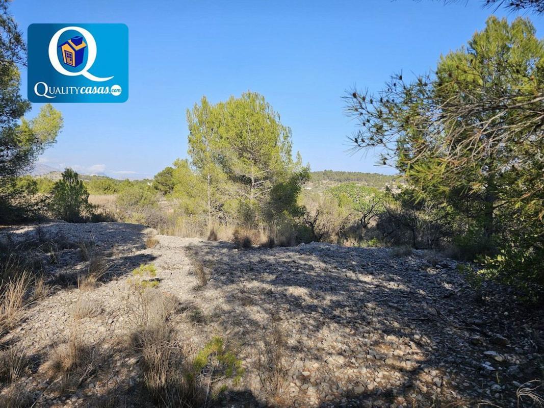 Land for sale in Polop, Alicante photo 2