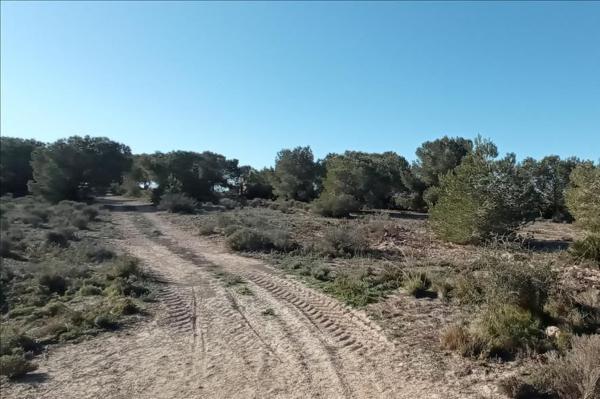 Terreno en Avenida de las Naciones, Algorfa photo 1