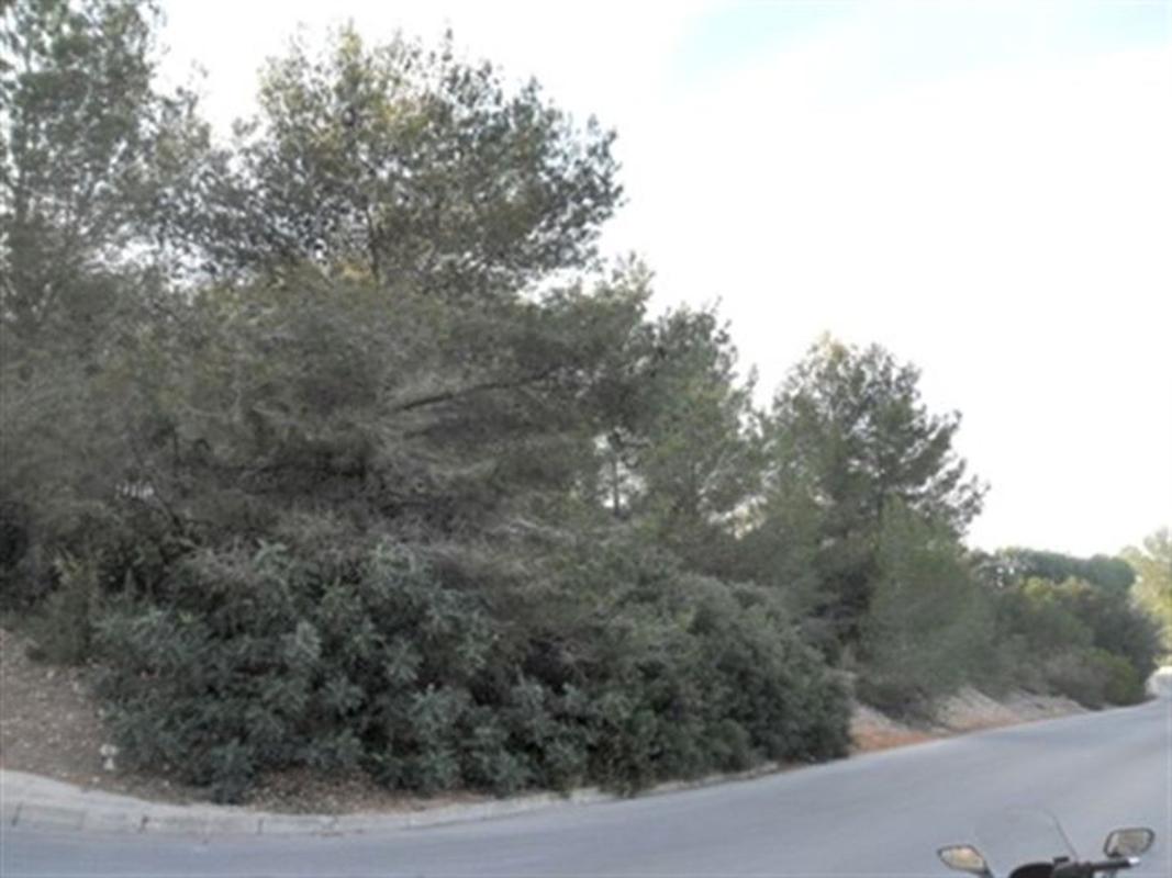 Land for sale in Pedreguer, Alicante photo 1