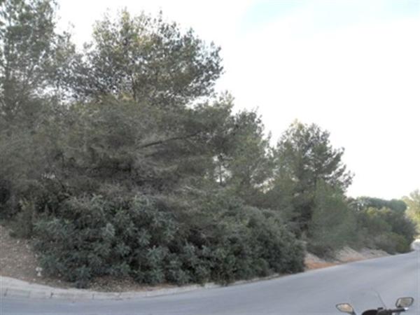 Terreno en La Sella, Pedreguer photo 1
