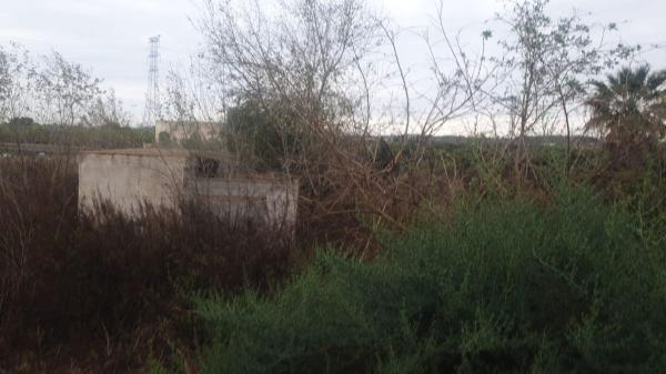 Terreno en Calle Alicante s/n, Ciudad de las Comunicaciones, San Miguel de Salinas thumbnail 2