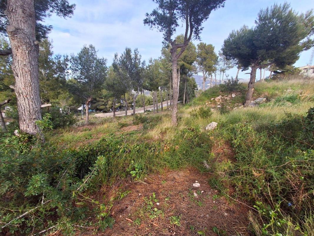Działka na sprzedaż w Moraira, Alicante photo 3