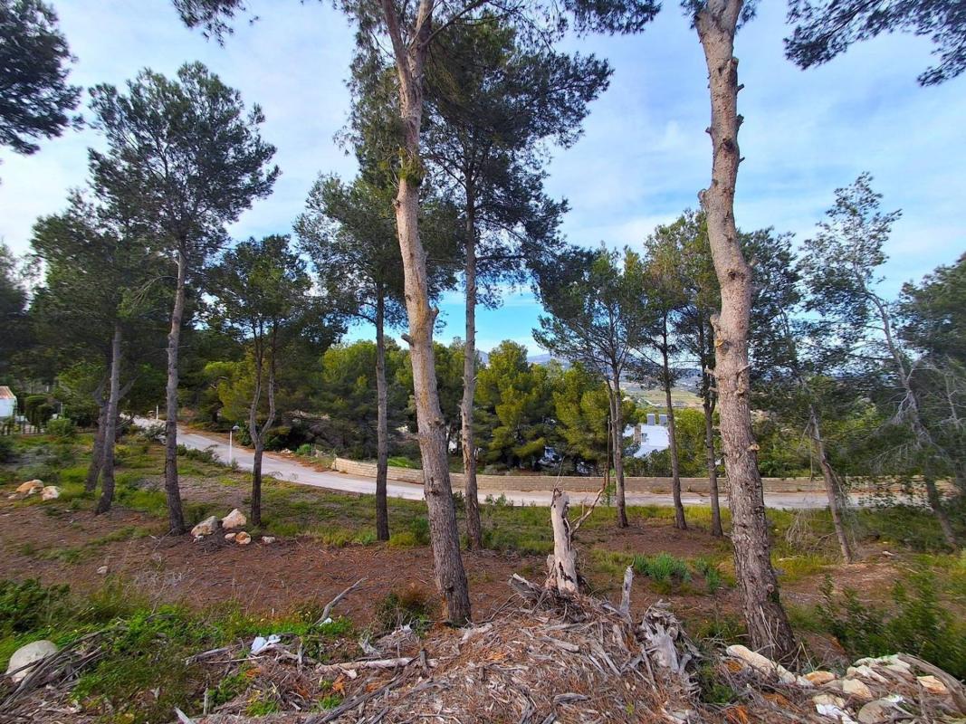 Działka na sprzedaż w Moraira, Alicante photo 4
