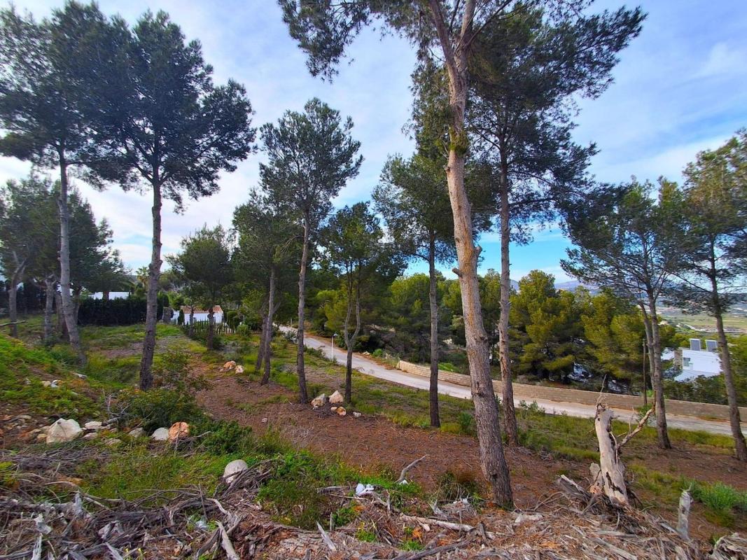 Działka na sprzedaż w Moraira, Alicante photo 5
