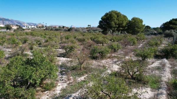 Terreno en Alfaz del Pi Pueblo-Urbanizaciones, Alfaz del Pi photo 4