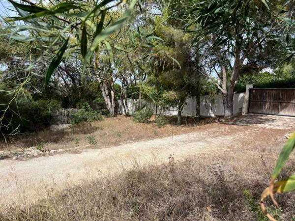 Terreno en Paichi, Moraira thumbnail 3