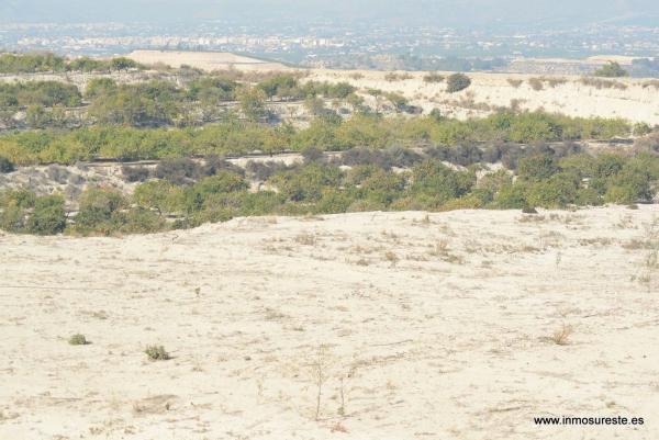 Terreno en Desamparados-Hurchillo-Torremendo, Orihuela photo 4