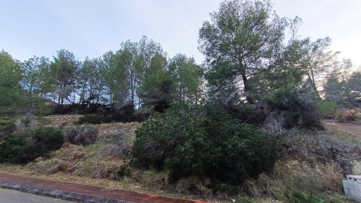 Land for sale in Benissa, Alicante photo 2