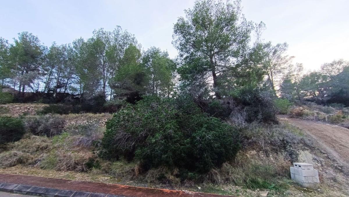 Land for sale in Benissa, Alicante photo 3