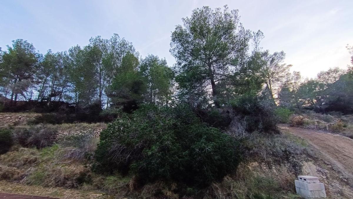 Land for sale in Benissa, Alicante photo 5
