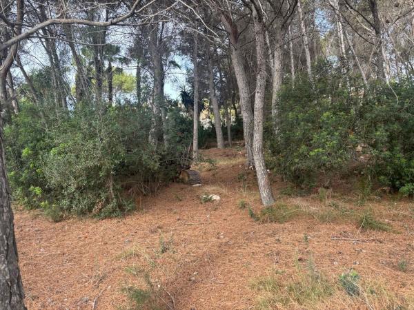 Terreno en Calle Pozoblanco, Benimeit-Tabaira, Moraira photo 1