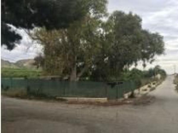 Terreno en Jacarilla photo 4