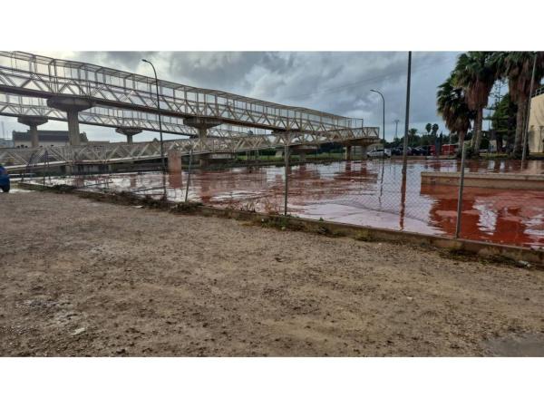 Terreno en Paseo Enrique Tierno Galvañ, 5 -3, Callosa de Segura thumbnail 3