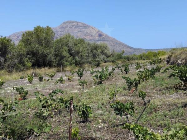 Terreno en Camino Vell de Teulada, La Lluca - La Tarraula, Jávea/Xàbia photo 1