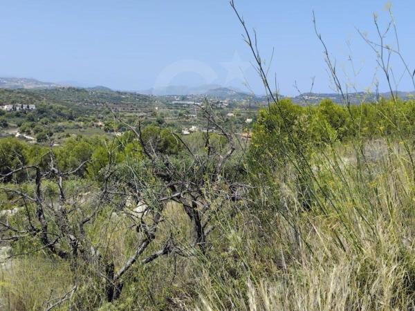 Terreno en Camino Vell de Teulada, La Lluca - La Tarraula, Jávea/Xàbia thumbnail 3