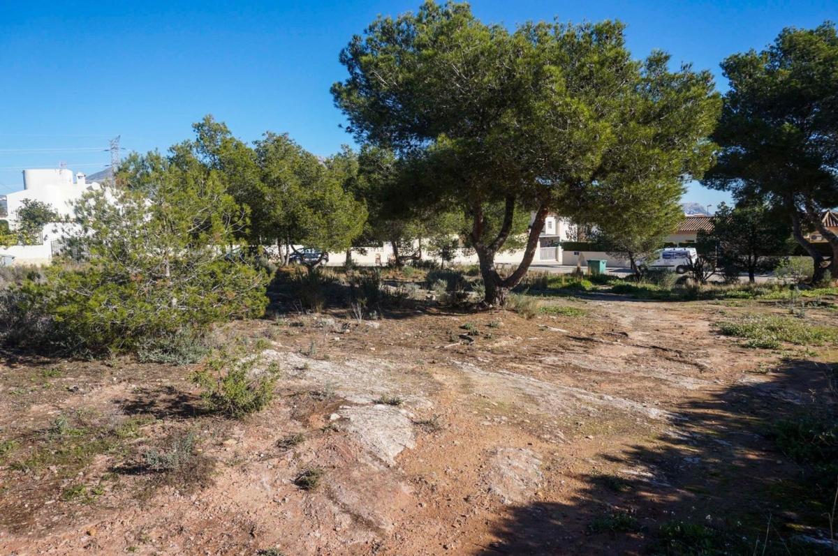 Terreno en venta en La Nucia, Alicante photo 2
