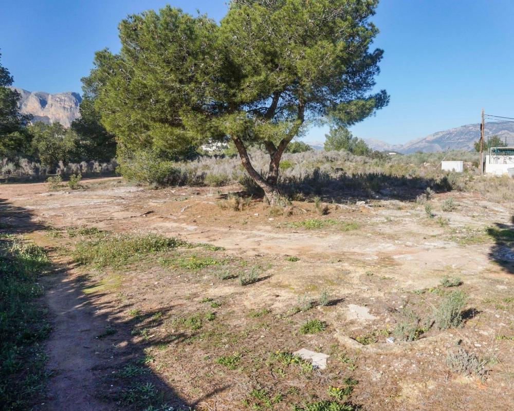 Terreno en venta en La Nucia, Alicante photo 3