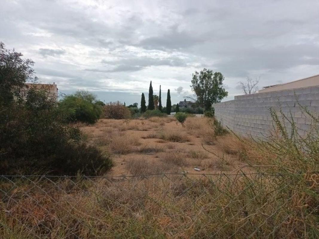 Terreno en venta en San Vicente del Raspeig, Alicante photo 4