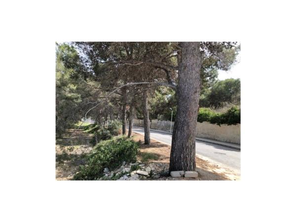 Terreno en Casco Urbano, Moraira photo 4