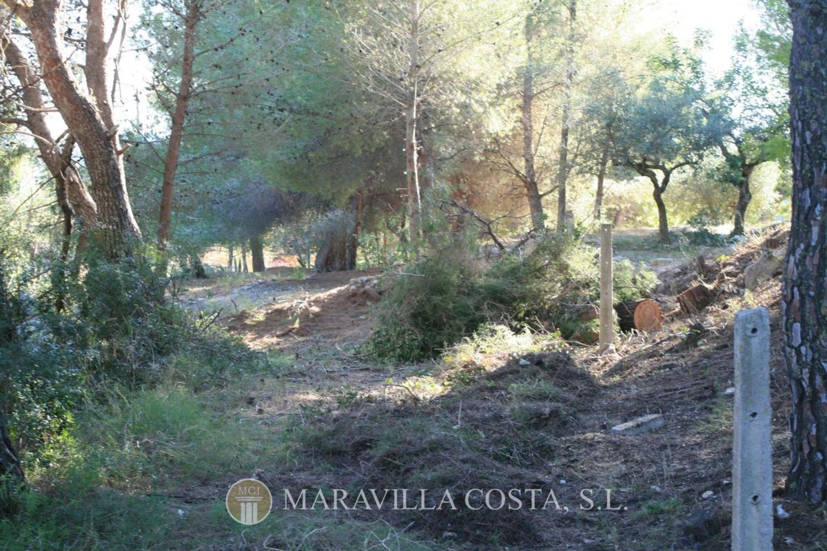 Land for sale in Benitachell, Alicante photo 5