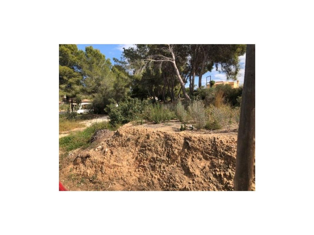 Участок земли на продажу в Морайра, Аликанте photo 1