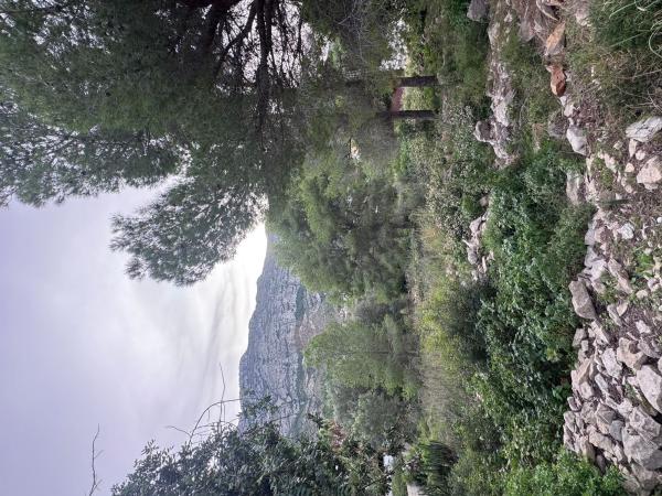 Terreno en El Montgó, Denia thumbnail 3