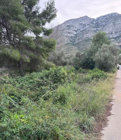 Terreno en El Montgó, Denia photo 4