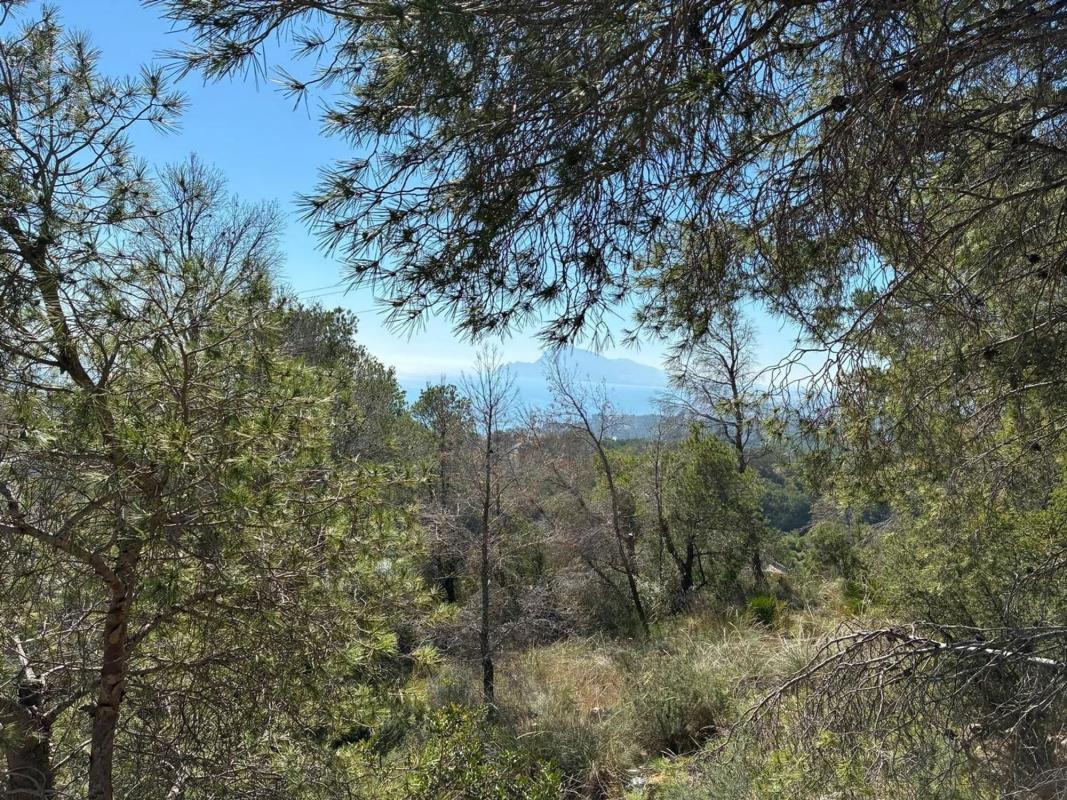 Land for sale in Altea, Alicante photo 3