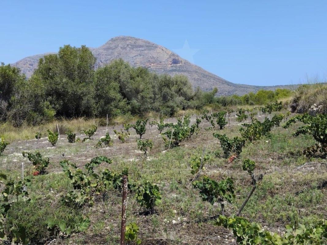 Terreno en venta en Jávea/Xàbia, Alicante photo 1