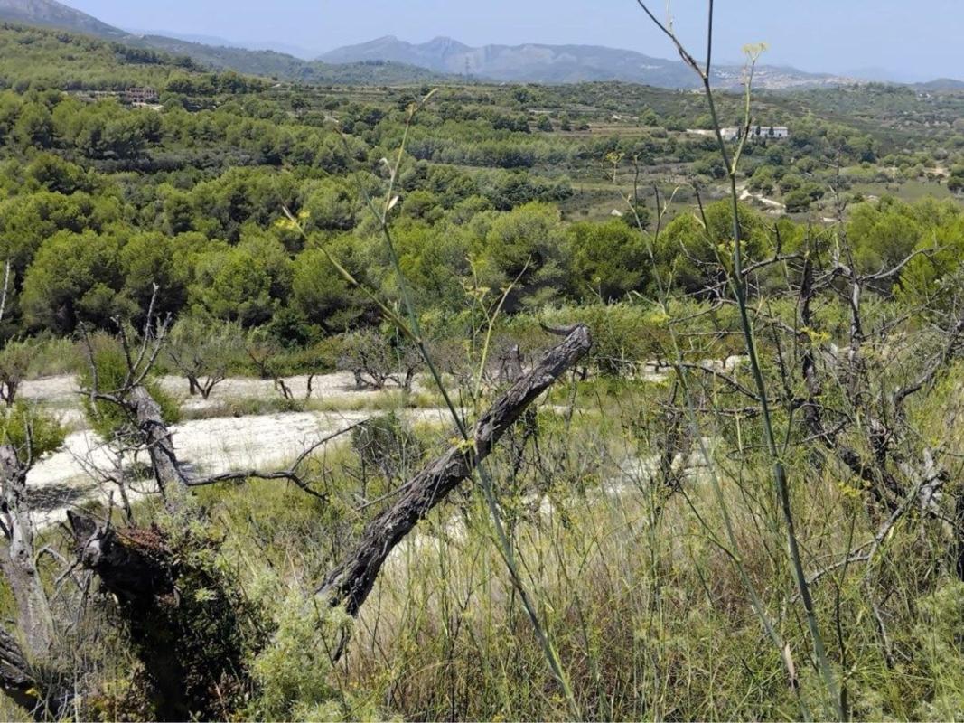Terreno en venta en Jávea/Xàbia, Alicante photo 4