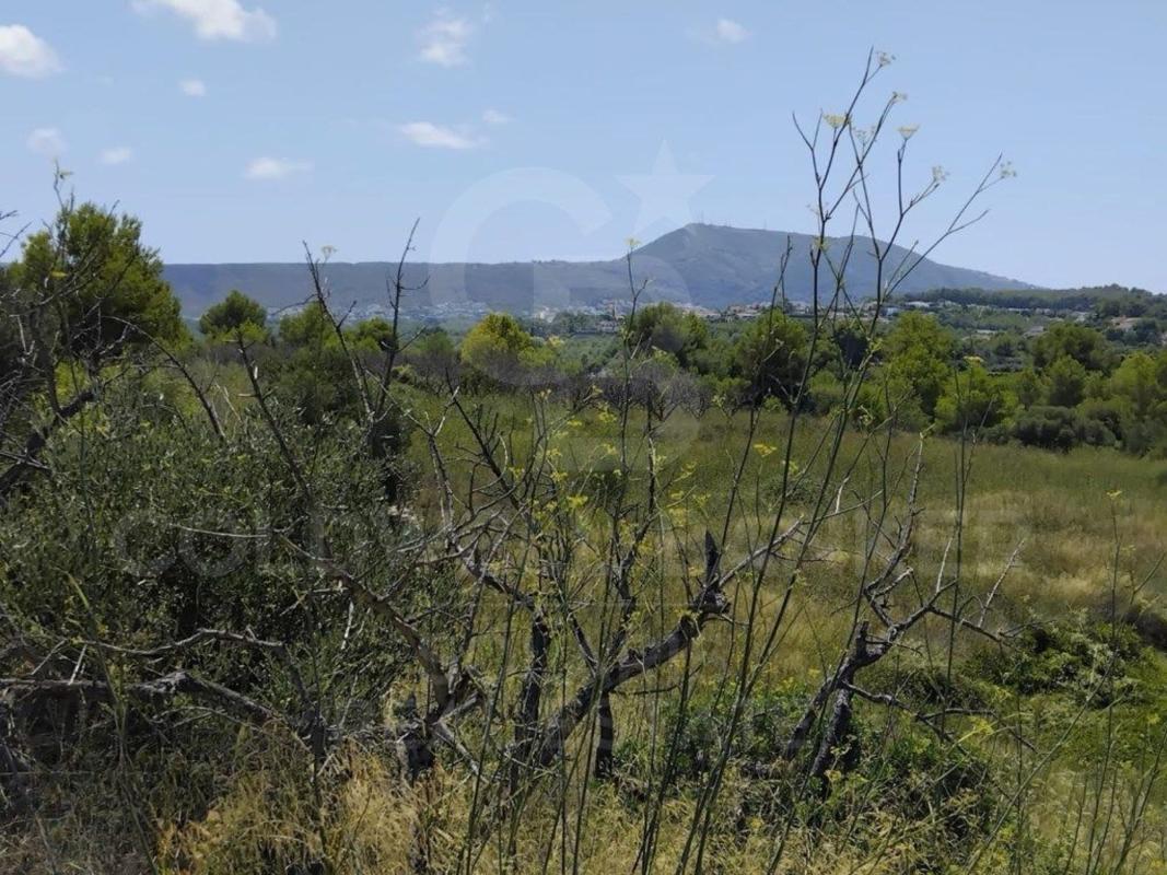 Terreno en venta en Jávea/Xàbia, Alicante photo 5