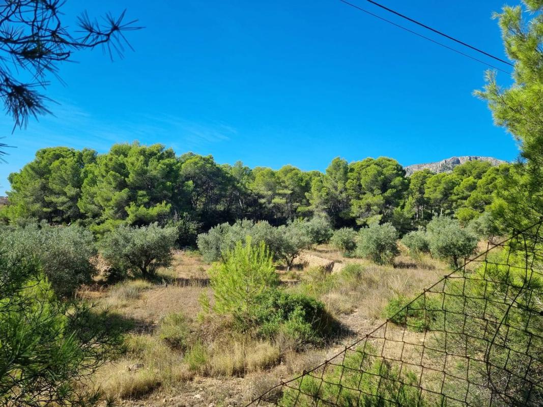 Terreno en venta en Calpe, Alicante photo 1