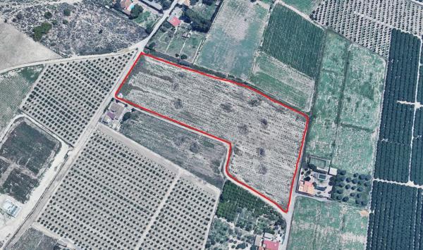 Terreno en Polígono 40, 18 Parcela, Ciudad de Asís - Font-Calent - El Bacarot, Alicante / Alacant photo 1