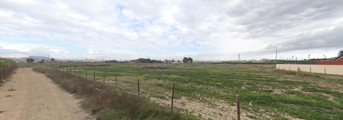 Land for sale in Alicante, Alicante photo 4