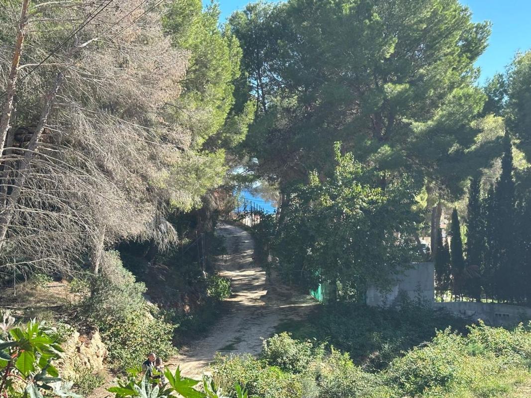 Land for sale in Jávea/Xàbia, Alicante photo 1