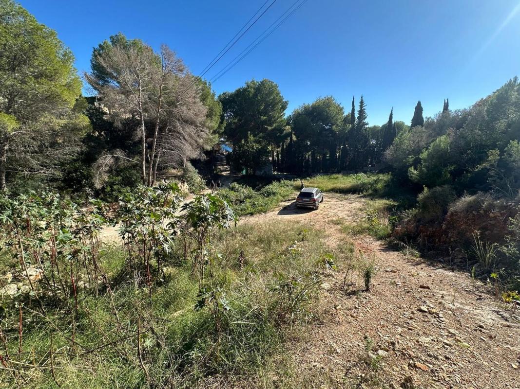 Land for sale in Jávea/Xàbia, Alicante photo 3